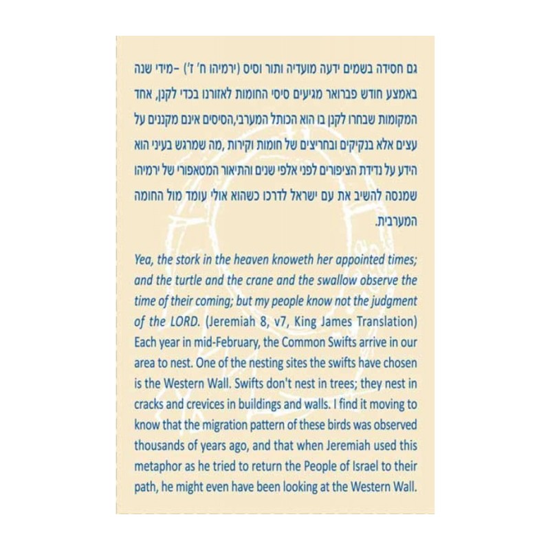 שרגא לנדסמן ירמיהו מברך ציפורים במעוף... | תליון יהודי